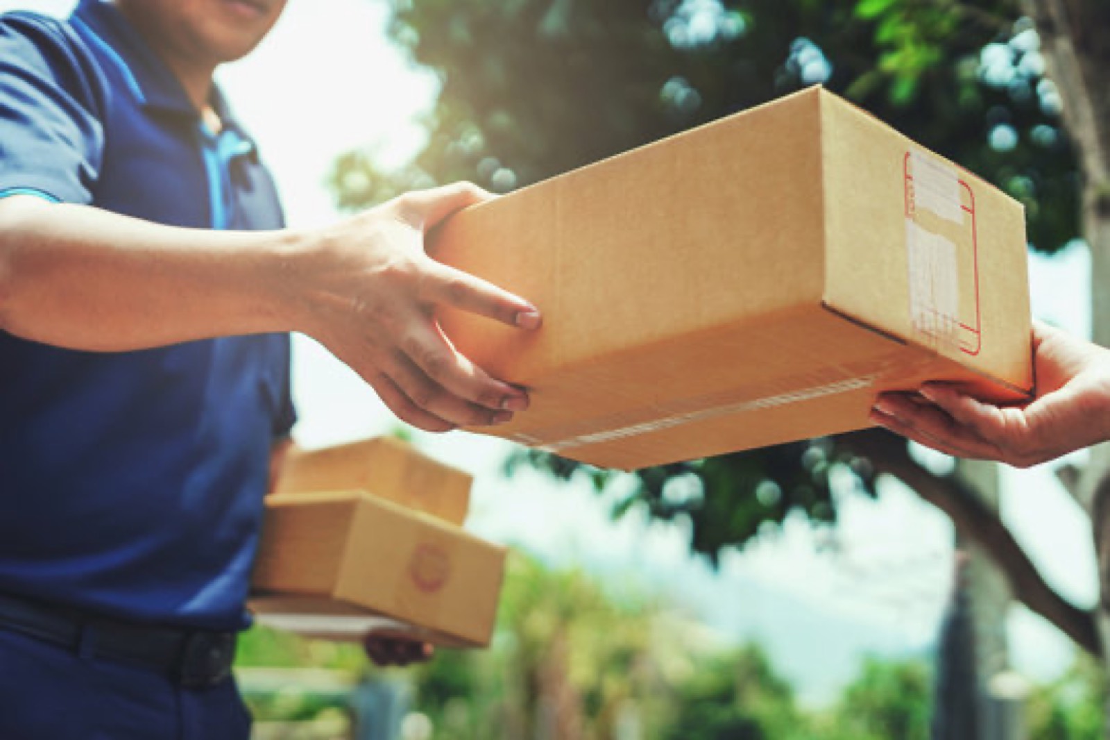 Shipping guide